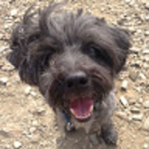 Meet your Posher, Audrey